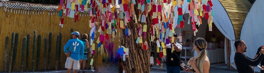 Private Todos Santos Tour 6