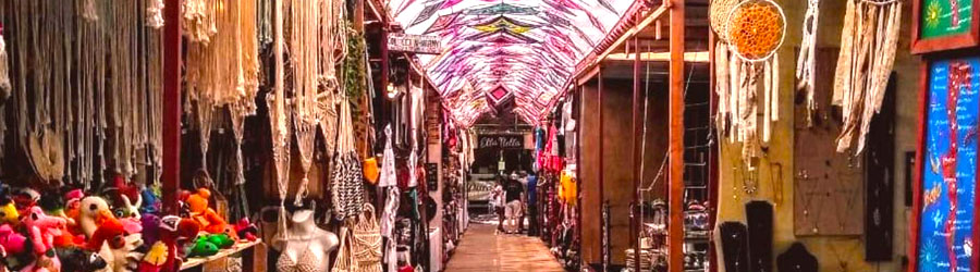 Private Todos Santos Tour 7