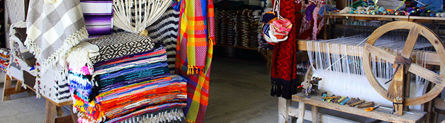 Todos Santos Baja Sightseeing and Cultural Tour 2