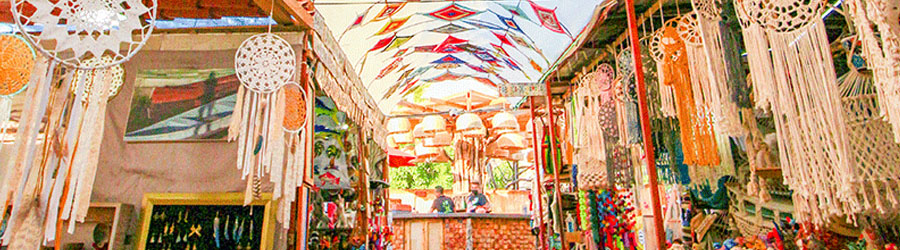 Todos Santos Baja Sightseeing and Cultural Tour 5