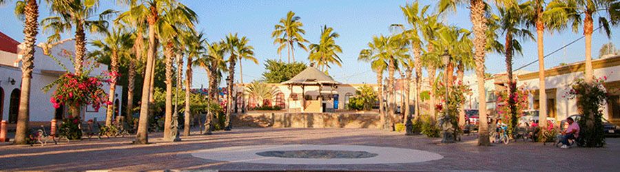 Todos Santos Baja Sightseeing and Cultural Tour 7