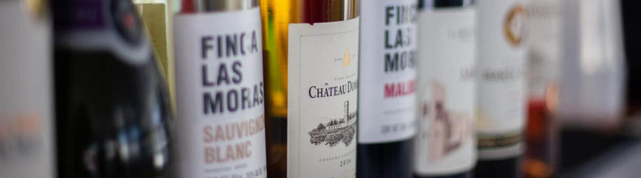 Jazz & Wine Cabo Sunset Cruise 2