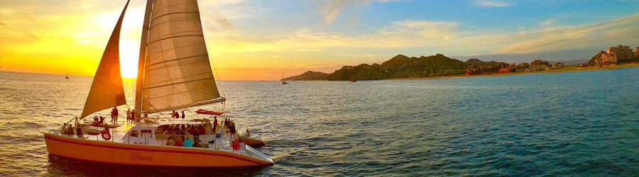 Jazz & Wine Cabo Sunset Cruise 7