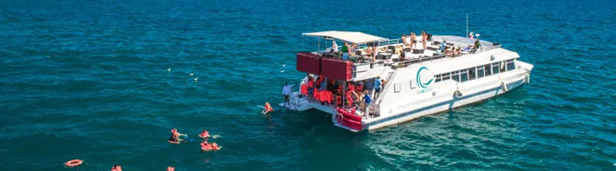 Cabo Wave VIP Whale Watching Los Cabos Corridor 1