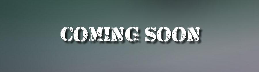 Whale Shark Snorkeling Cabo 1