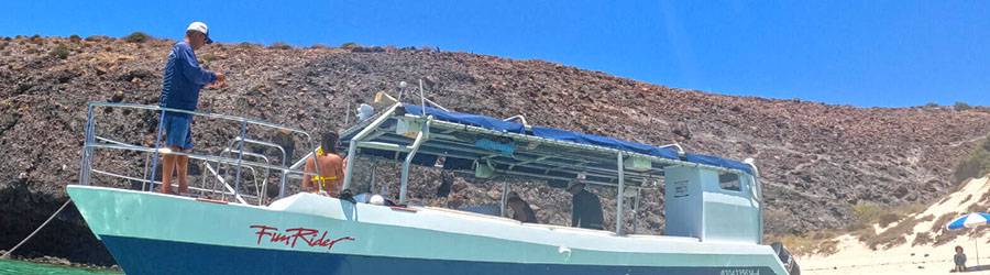 Snorkel & Swim With Whale Sharks Cabo 1