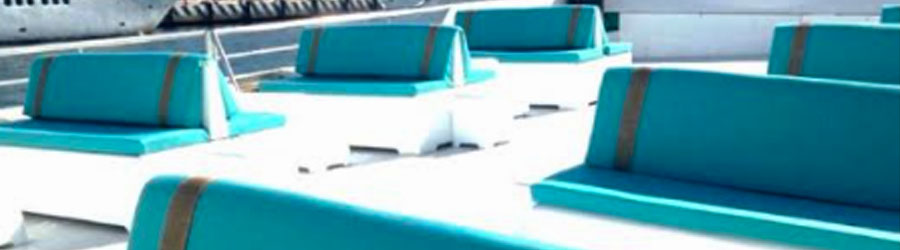 Wild Cabo Cabo Wave 2