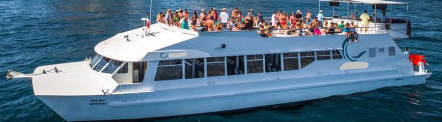 Wild Cabo Cabo Wave 4