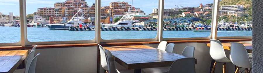 Wild Cabo Cabo Wave 5