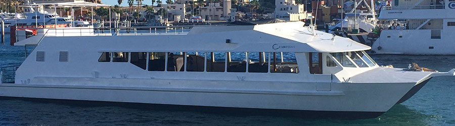 Wild Cabo Cabo Wave 7