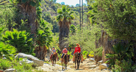 Baja Horseback Riding Experience
