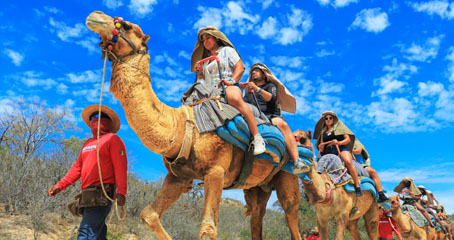 Desert Canyon Camel Ride
