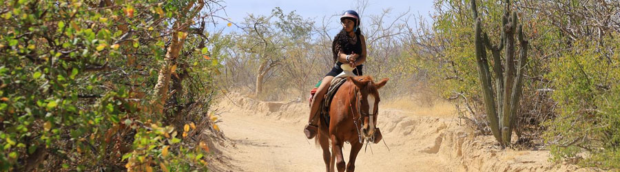 Wild Canyon Adventure Park Half Day Experience 5