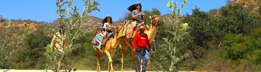 Wild Canyon Adventure Park Half Day Experience 8