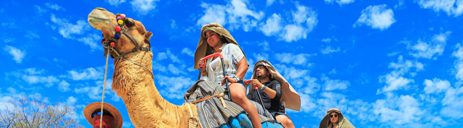 Wild Canyon Adventure Park All-Inclusive Park Pass 2