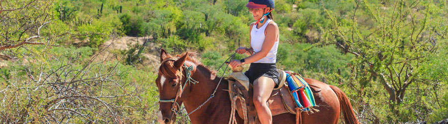 Wild Canyon Adventure Park All-Inclusive Park Pass 6