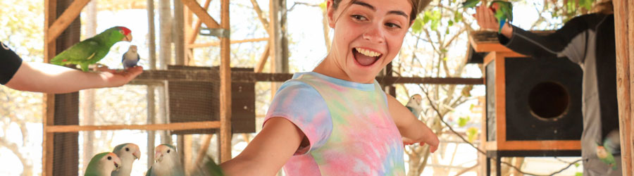 Excursión de Tirolesa Monster Wild Canyon en Los Cabos 8