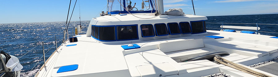 Satori Catamaran Sunset Experience 4