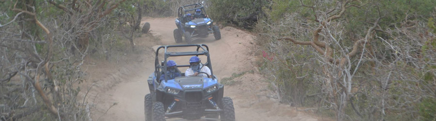 Wild Desert RZR Adventure 2