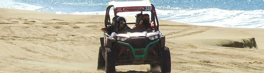 Wild Desert RZR Adventure 5