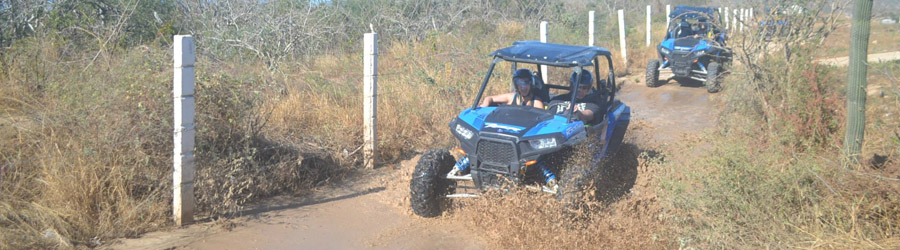 Wild Desert RZR Adventure 7