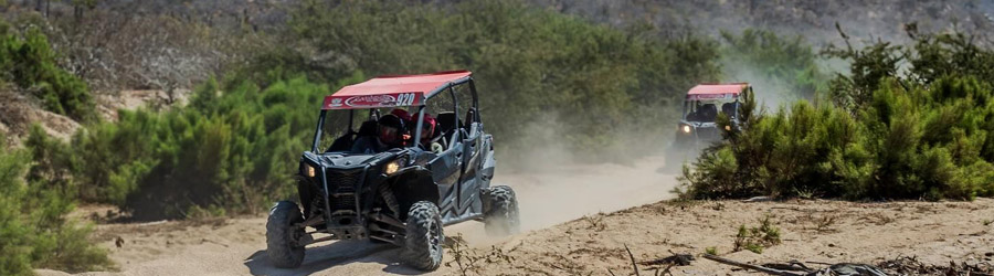 Wild Desert RZR Adventure 8