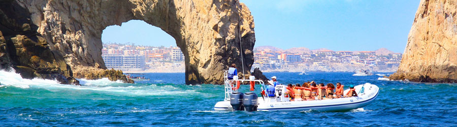 Apex Boat Whale Watching Adventure Cabo San Lucas 4