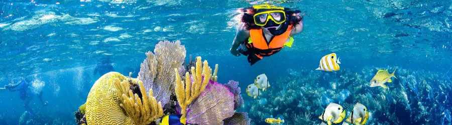 3-Reef Glass Bottom Boat Snorkeling Tour 8