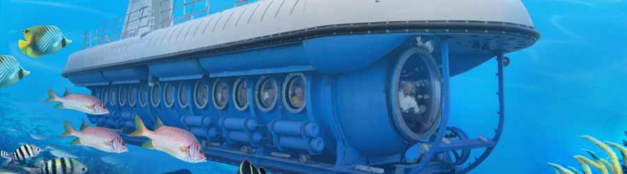 Atlantis Submarine Cozumel 6