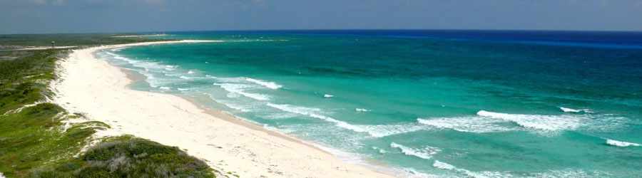 Cozumel Jungle & Beach ATV Tour 5