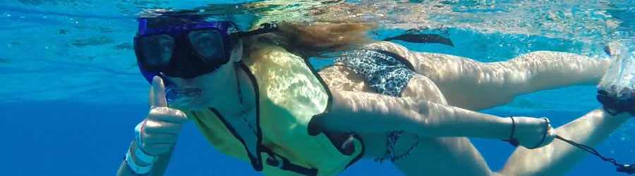 >Ultimate Cozumel Snorkeling & Beach Break 4