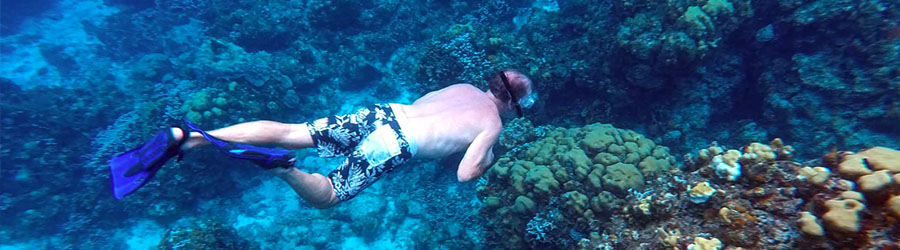 Cozumel West Coast Bike Ride & Snorkel Adventure 3