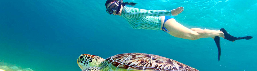 Cozumel West Coast Bike Ride & Snorkel Adventure 6