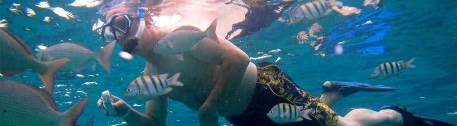 Chankanaab All Inclusive 4