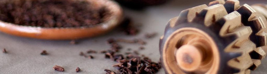 Chocolate Workshop + Snorkeling at Sky Reef Beach Club 4