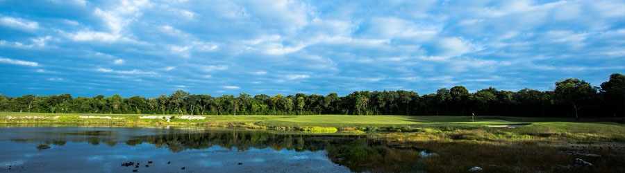 Cozumel Dolphin Encounter 1