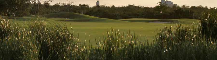Cozumel Dolphin Encounter 5