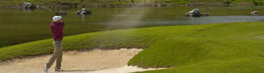 Cozumel Dolphin Encounter 7