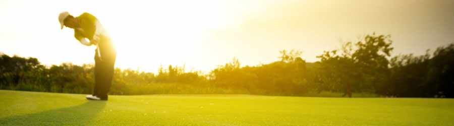 Cozumel Dolphin Encounter 8