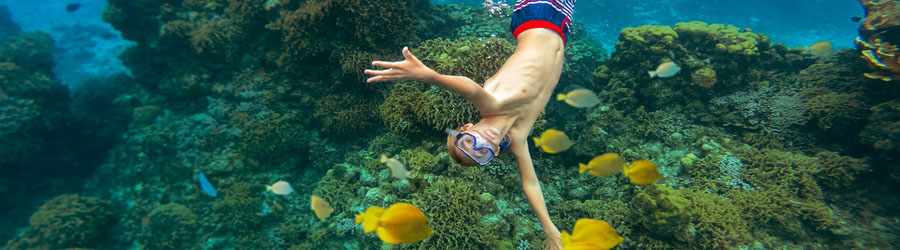 Deluxe Cozumel Catamaran Tour to Snorkel Paradise Reef 6