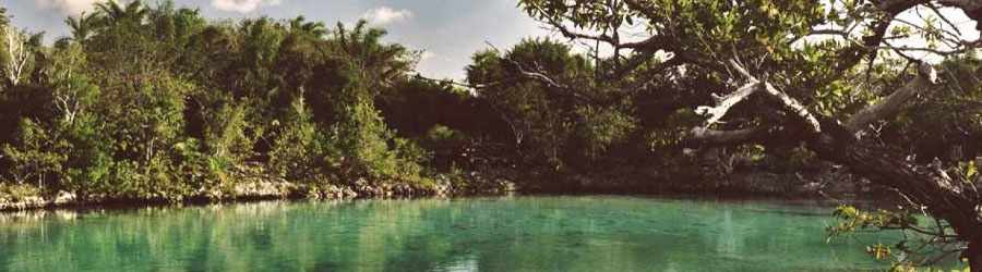 Discover Mexico & Chankanaab Beach 1