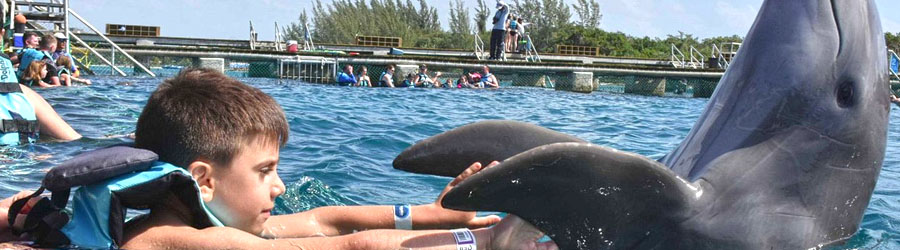 Cozumel Dolphin Encounter 1