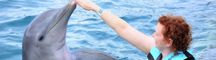 Cozumel Dolphin Encounter 7