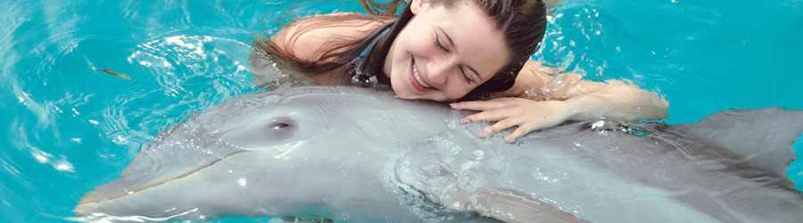 Cozumel Dolphin Swim Adventure 1