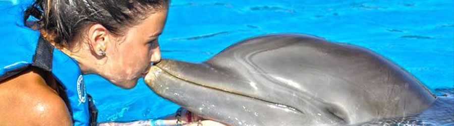 Cozumel Dolphin Swim Adventure 5