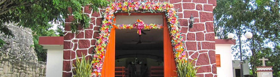 Cozumel Dune Buggy Adventure 5