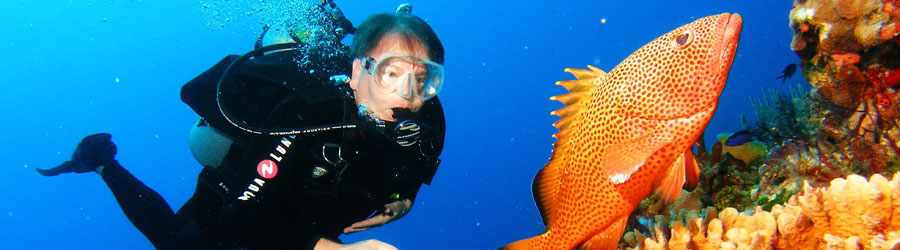 Cozumel Scuba Diving (2-Tank) 2