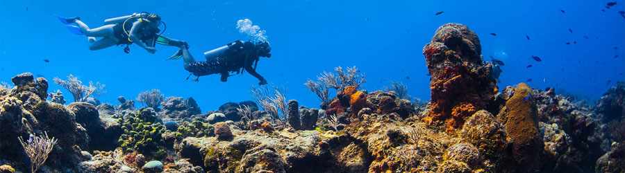 Cozumel Scuba Diving (2-Tank) 5