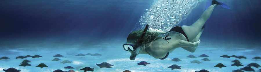 Ultimate Cozumel Jeep Tour 6