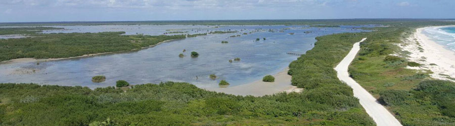 Cozumel Self-Drive Private Jeep Shore Excursion 3